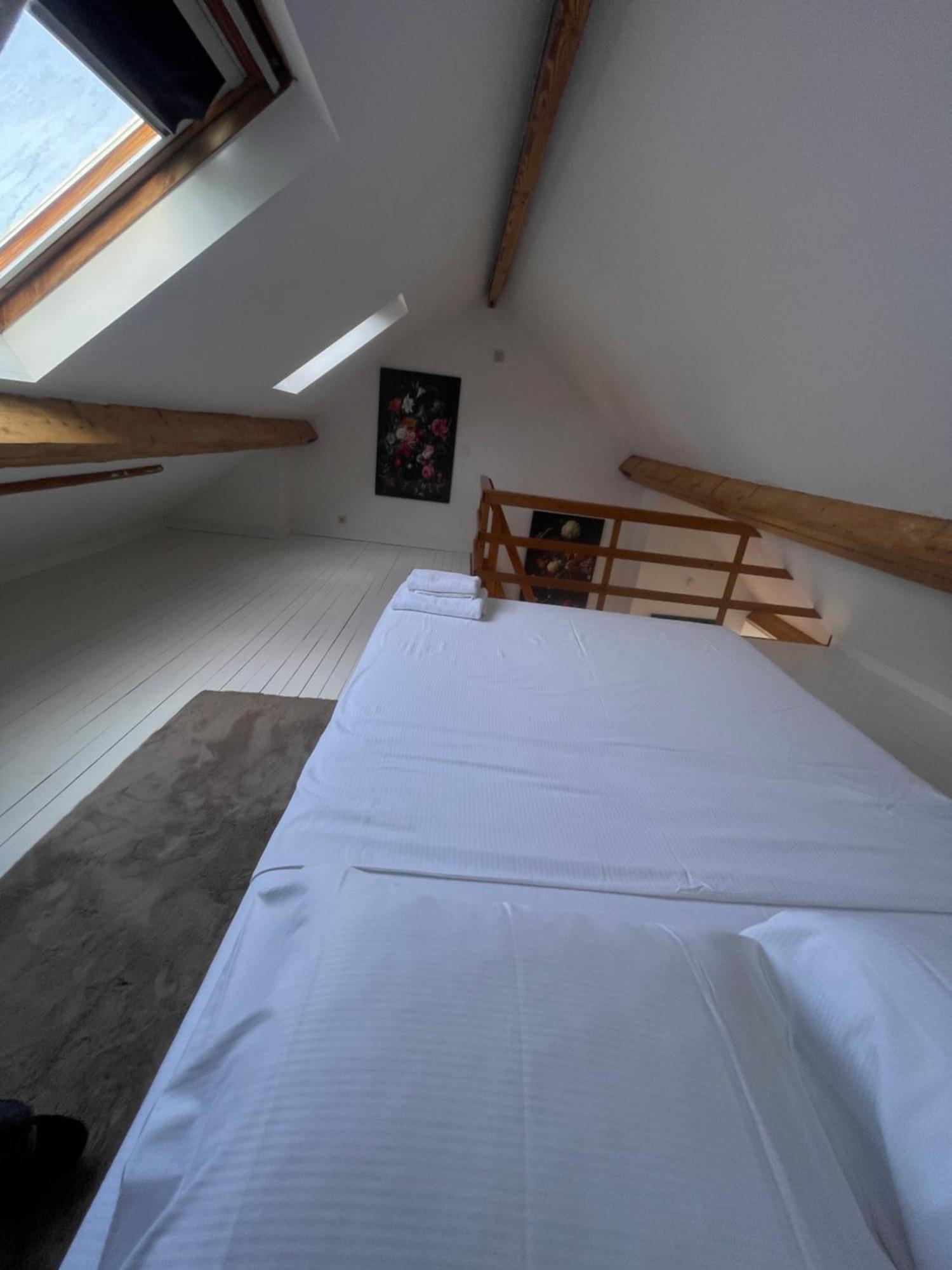 Attic European Quarter Apartment Brussels Exterior photo