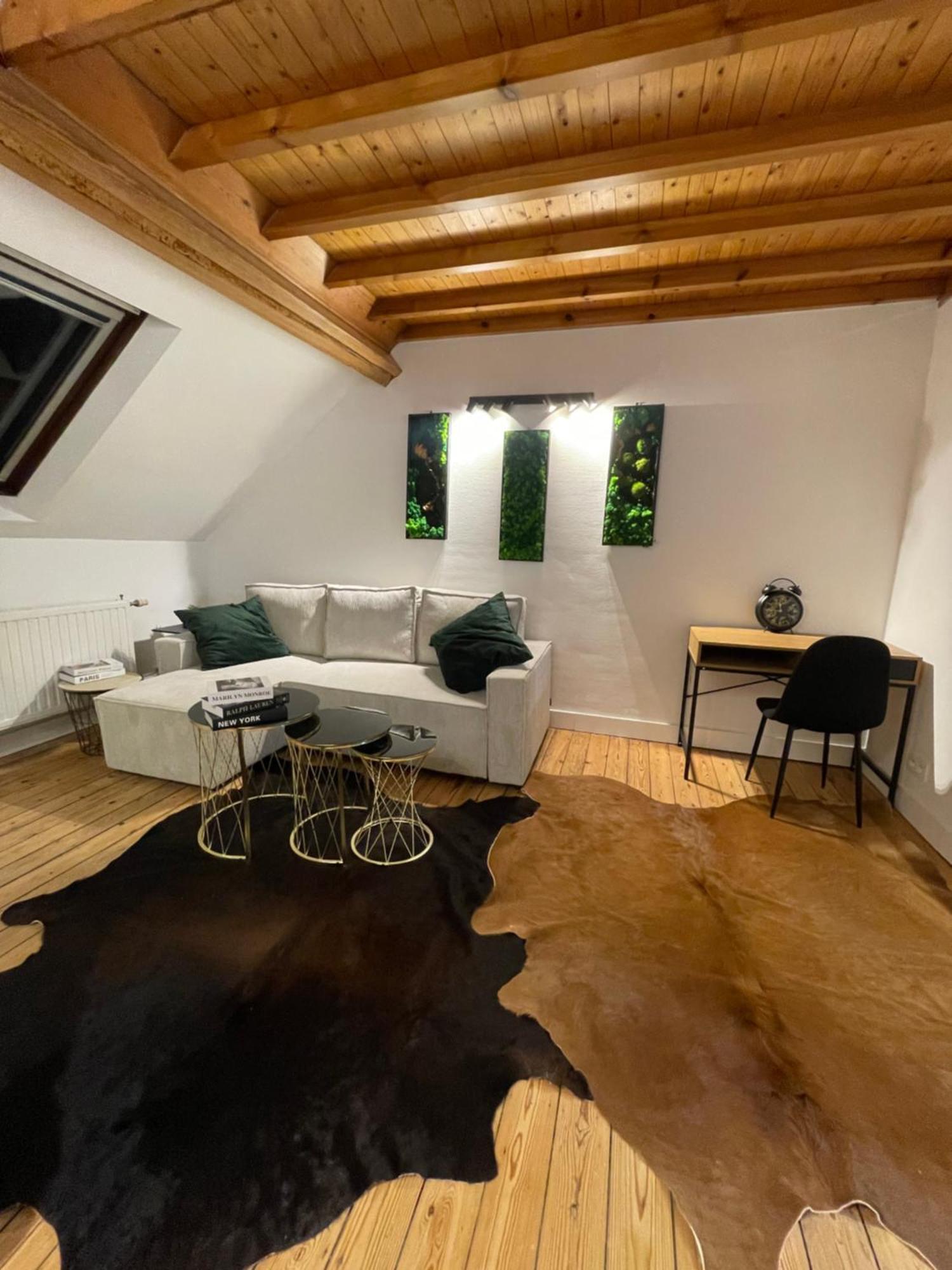 Attic European Quarter Apartment Brussels Exterior photo