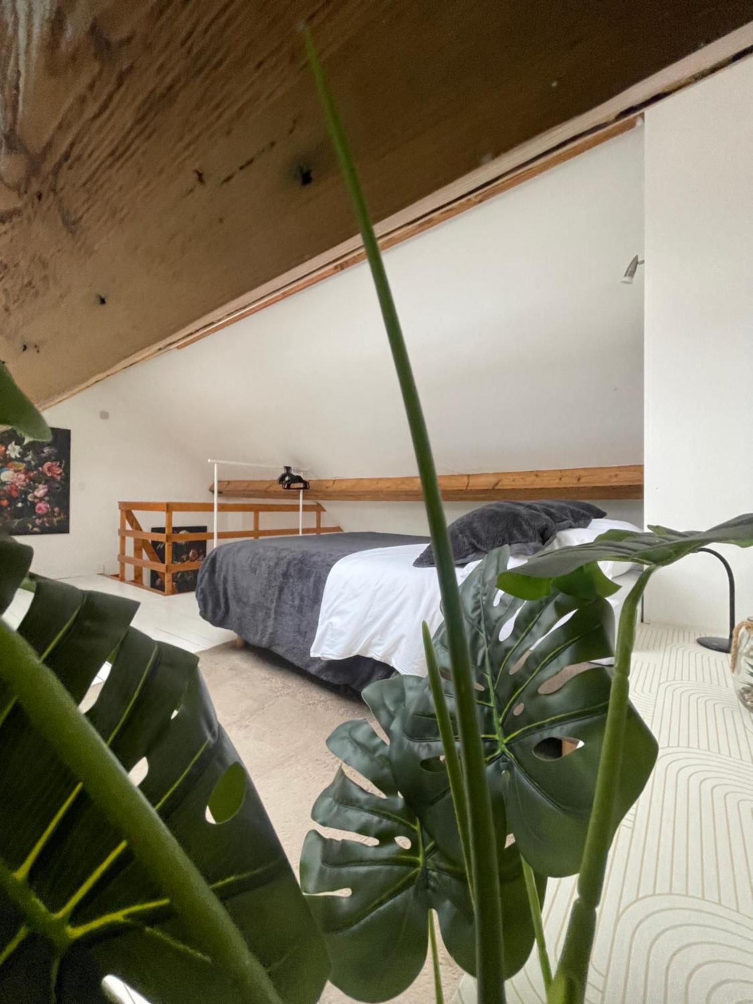 Attic European Quarter Apartment Brussels Exterior photo